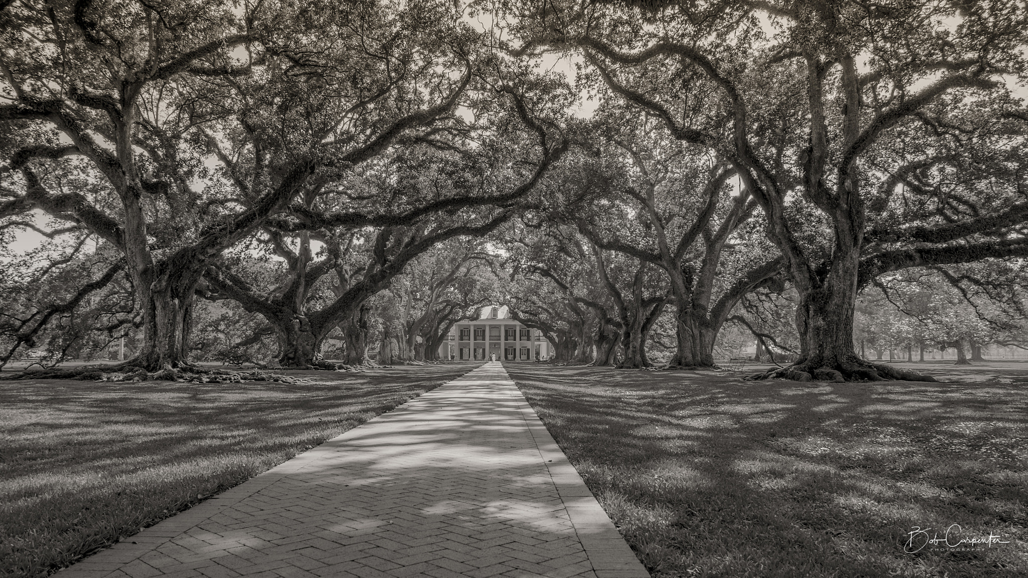 Sony SLT-A77 sample photo. Oak alley plantation photography