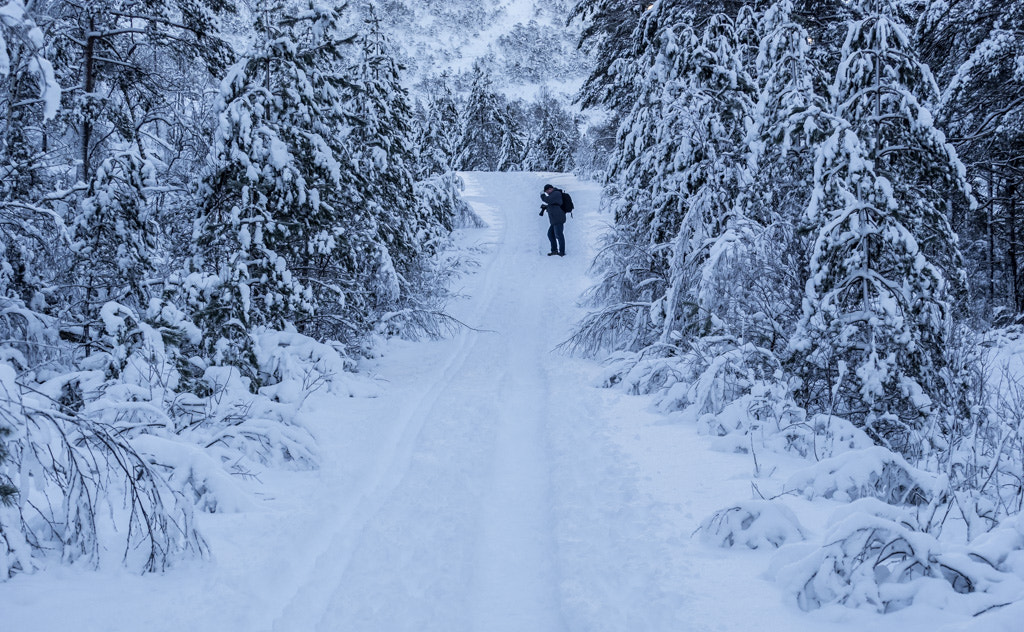 Olympus OM-D E-M1 sample photo. Winter in bergen photography