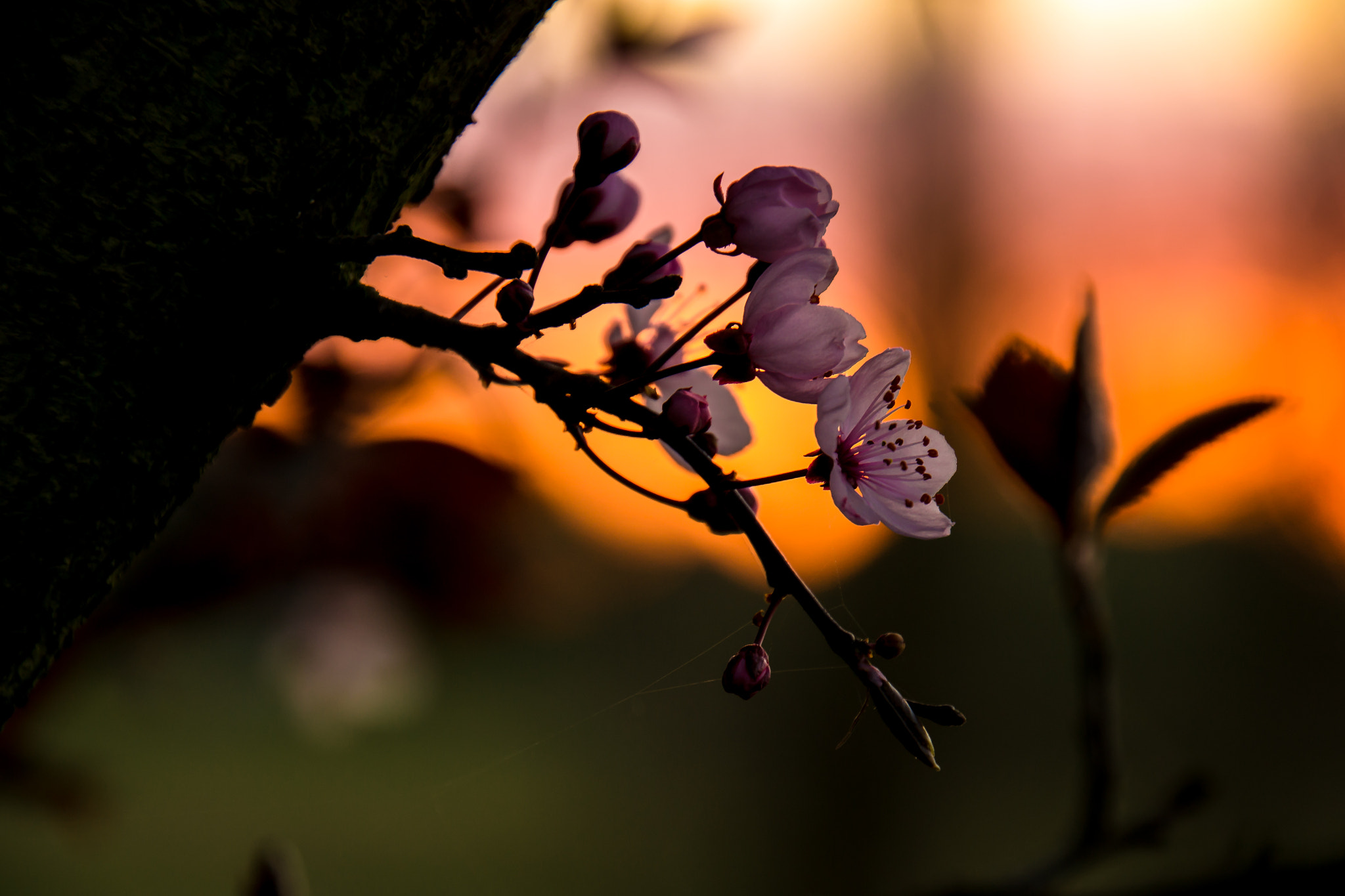 Nikon D3100 sample photo. Love the light photography