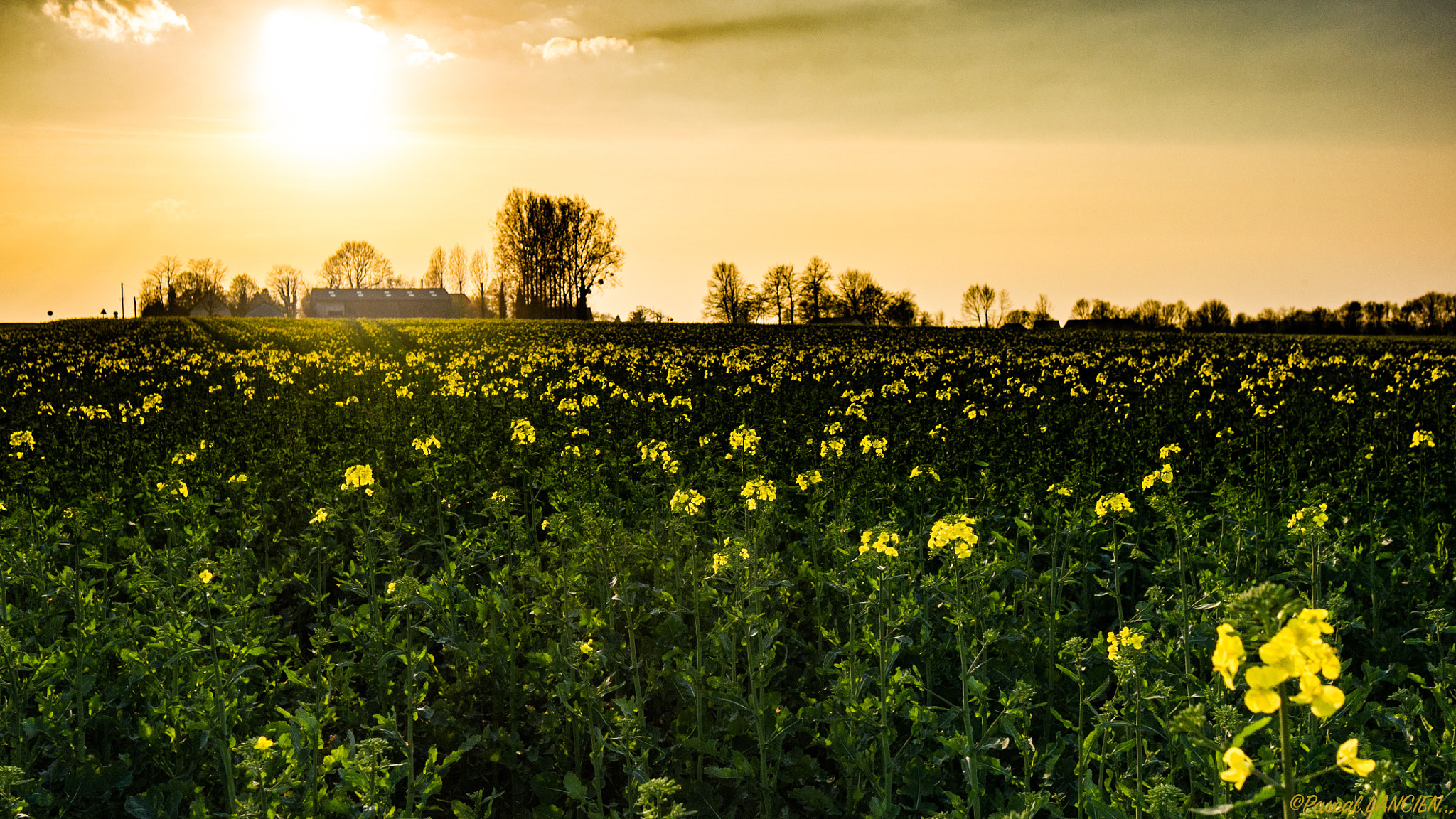 Leica X1 sample photo. French country side photography