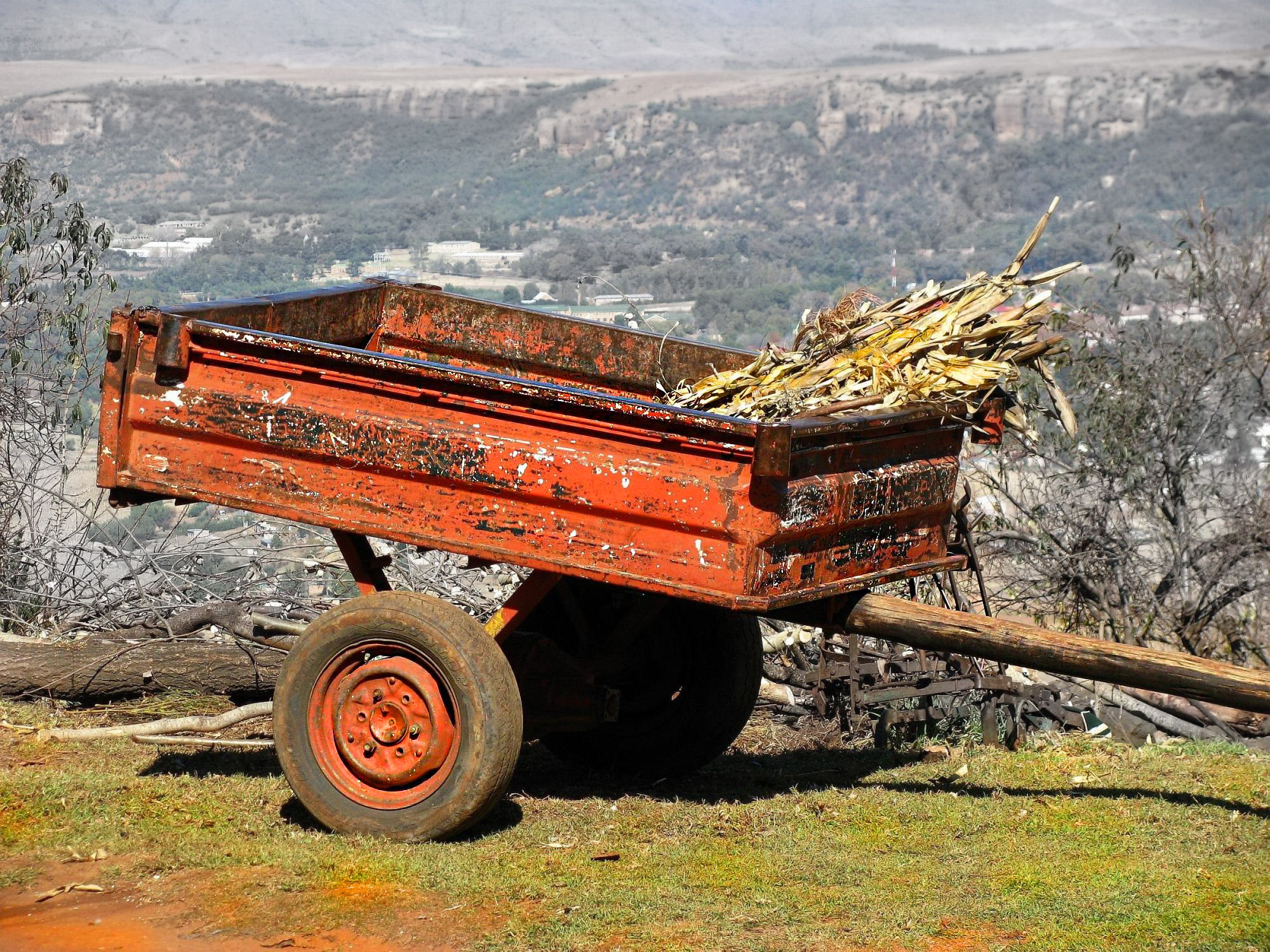 Canon POWERSHOT SX100 IS sample photo. Maize wagon photography