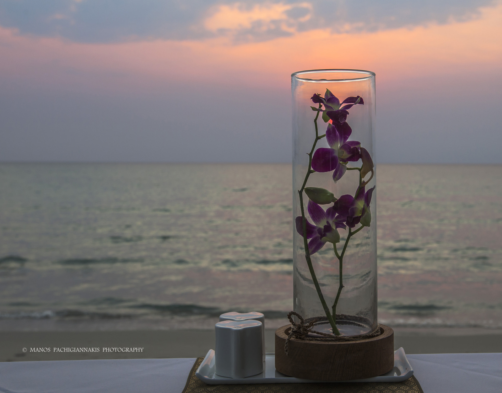 Canon EOS 5D Mark II + Canon EF 16-35mm F2.8L II USM sample photo. Orchid photography