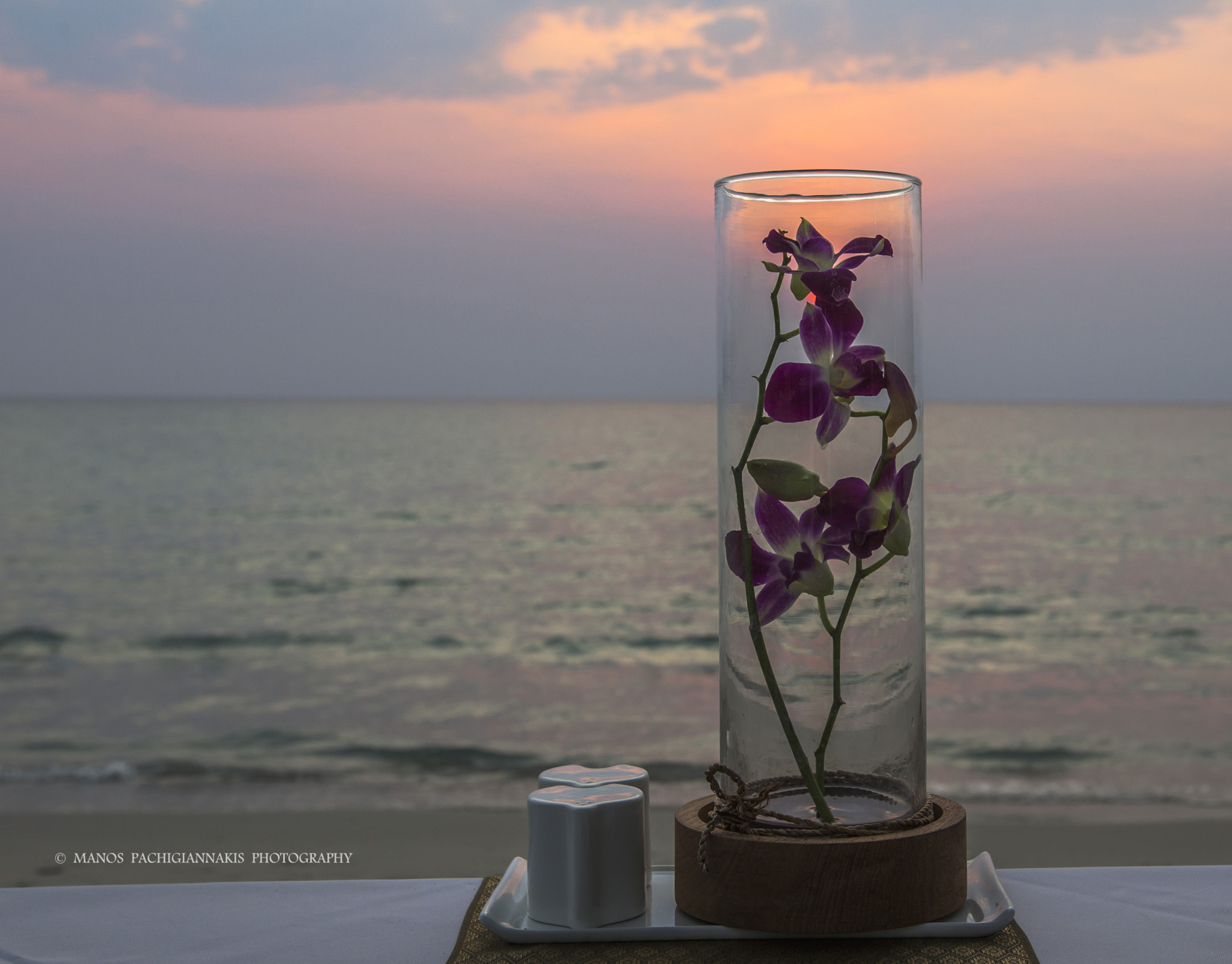 Canon EF 16-35mm F2.8L II USM sample photo. Orchid photography