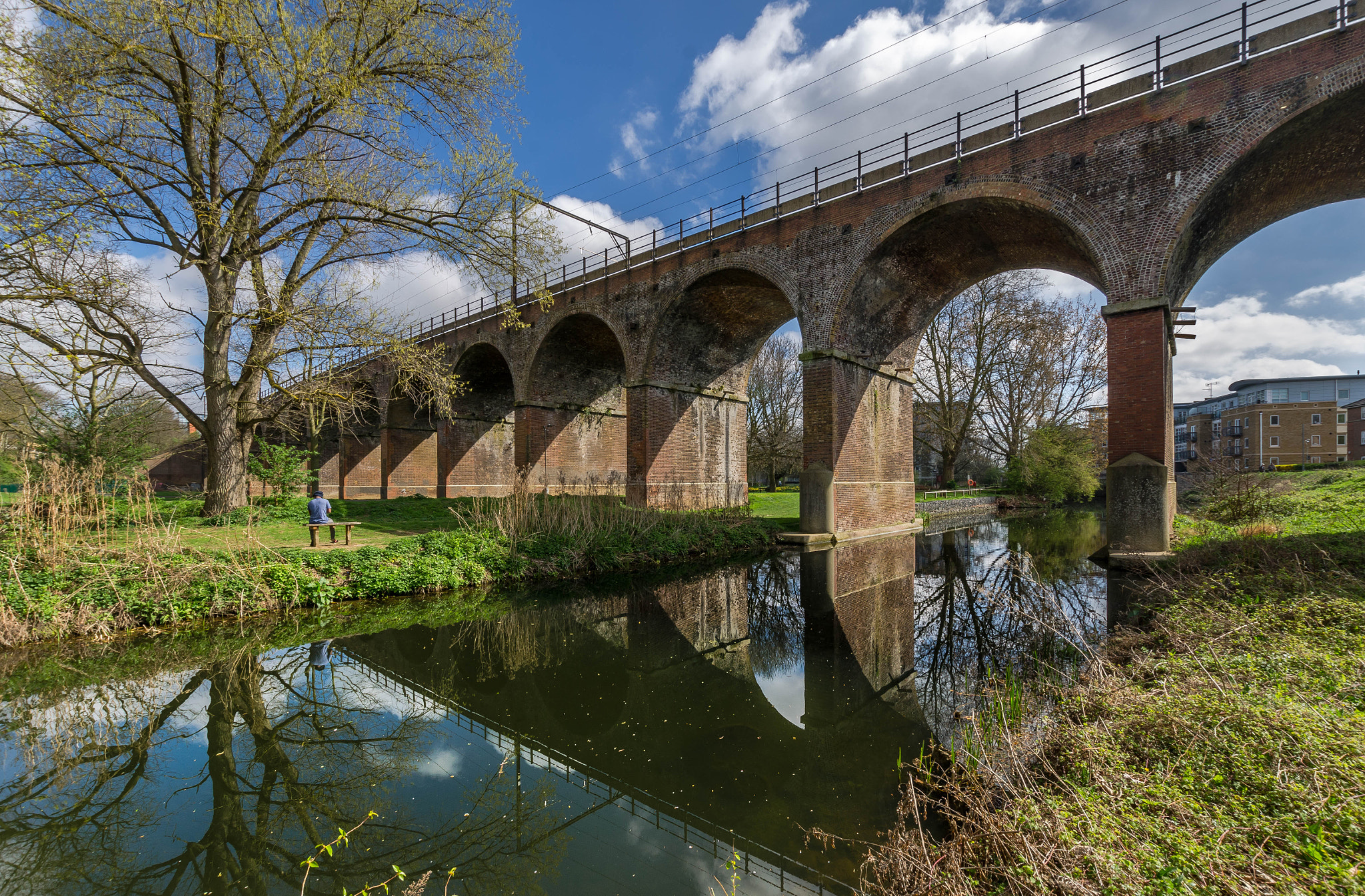 Nikon D7000 + Sigma 10-20mm F3.5 EX DC HSM sample photo. Chelmsford viaduct photography