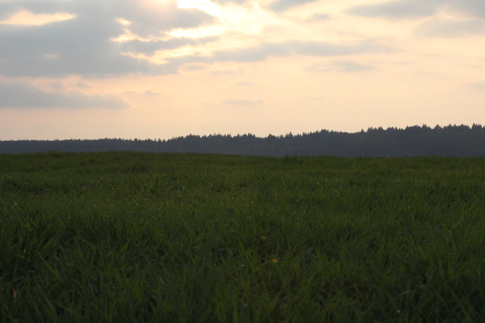 Canon EOS 60D + Canon TS-E 90mm F2.8 Tilt-Shift sample photo. Sunset photography