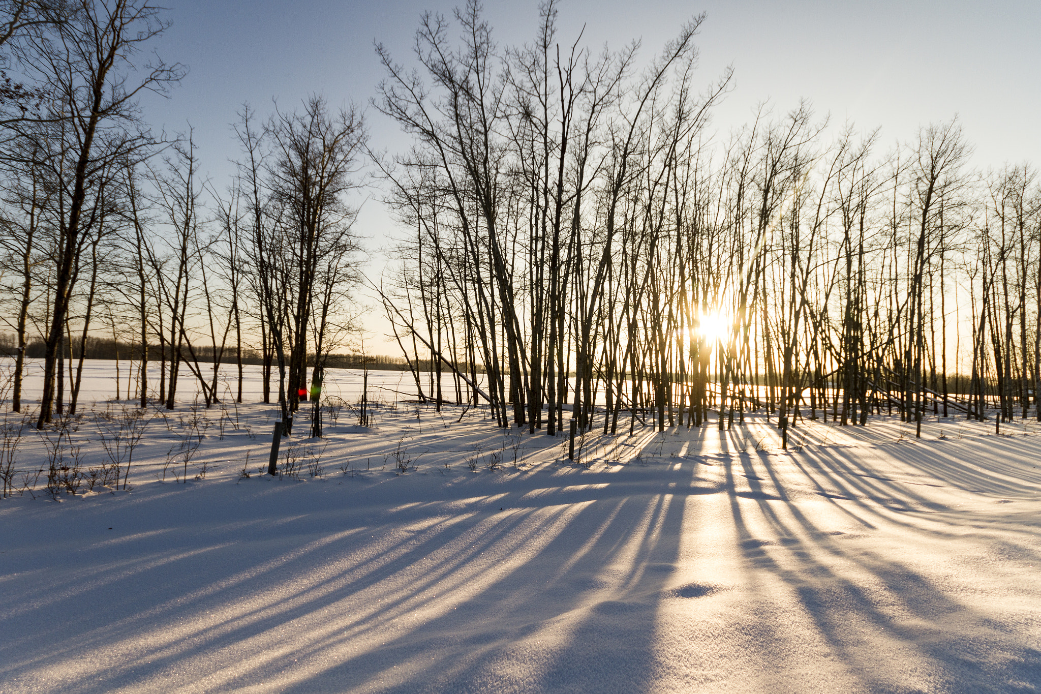 Canon EOS 7D sample photo. Long shadows in winter photography