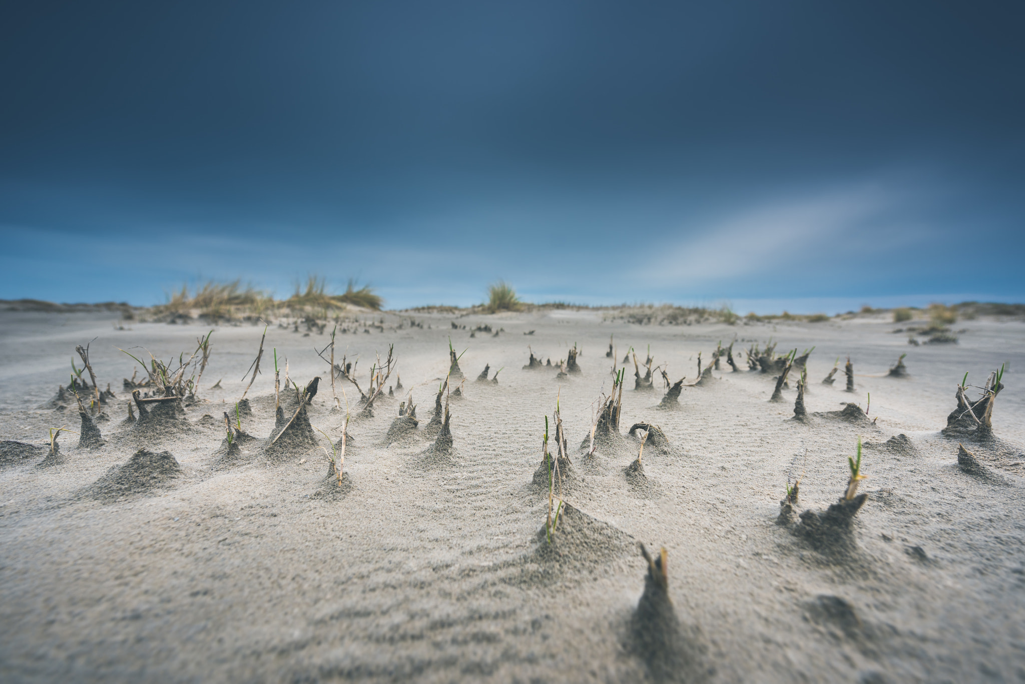 Nikon AF-S Nikkor 14-24mm F2.8G ED sample photo. Ameland - het groene strand photography