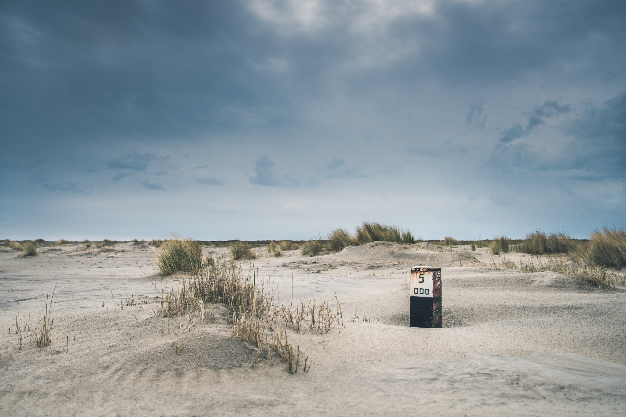 Nikon D810 sample photo. Ameland - het groene strand photography