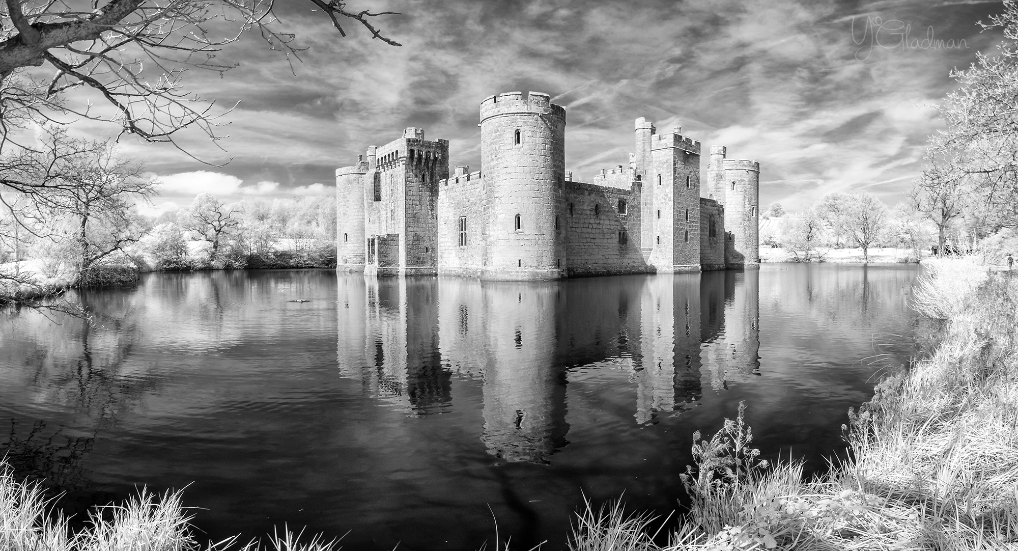 Nikon D80 sample photo. Infrared castle photography