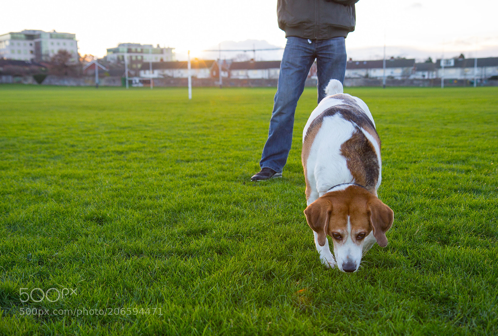 Canon EOS 60D sample photo. Img photography