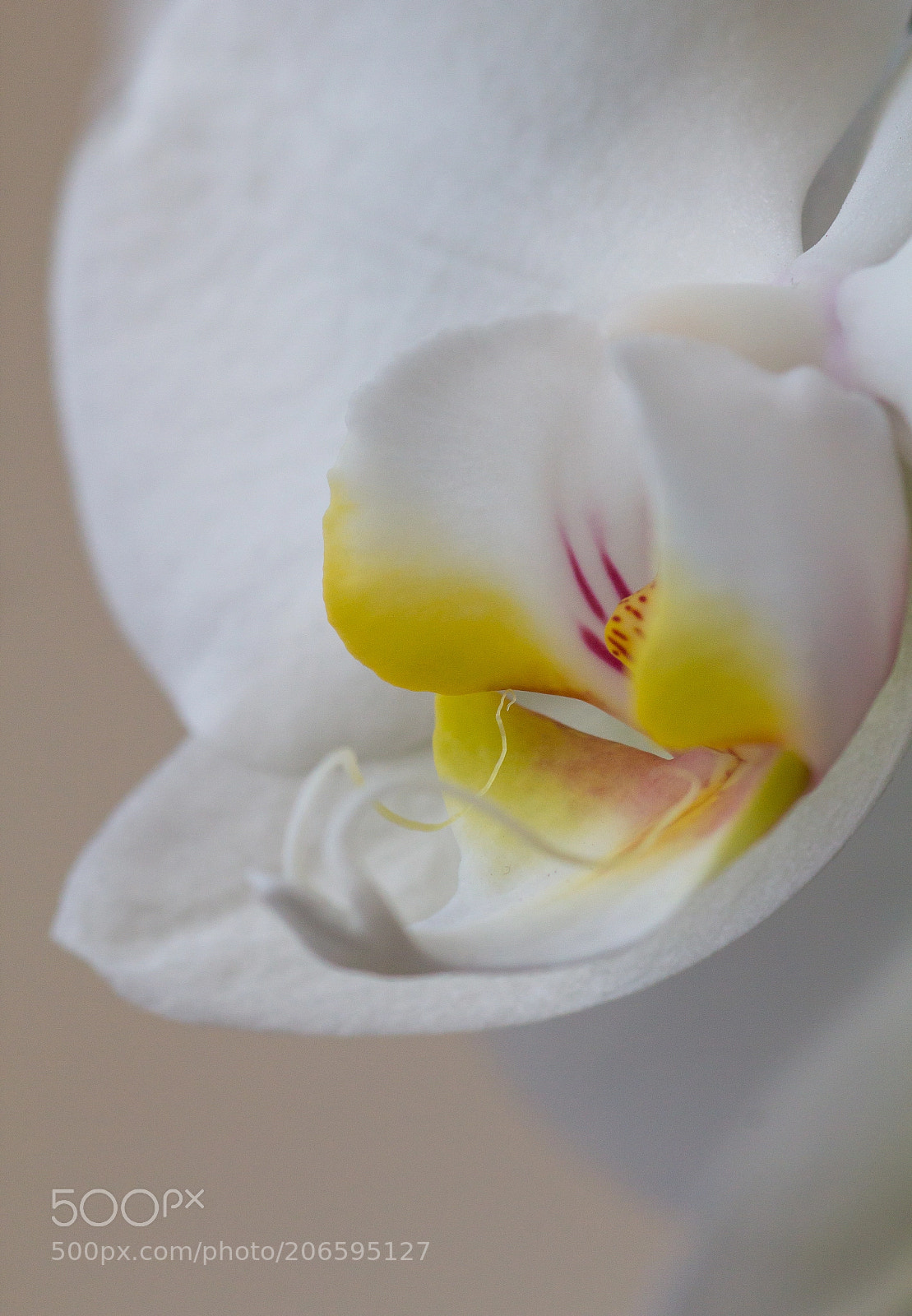 Canon EOS 60D sample photo. Img photography