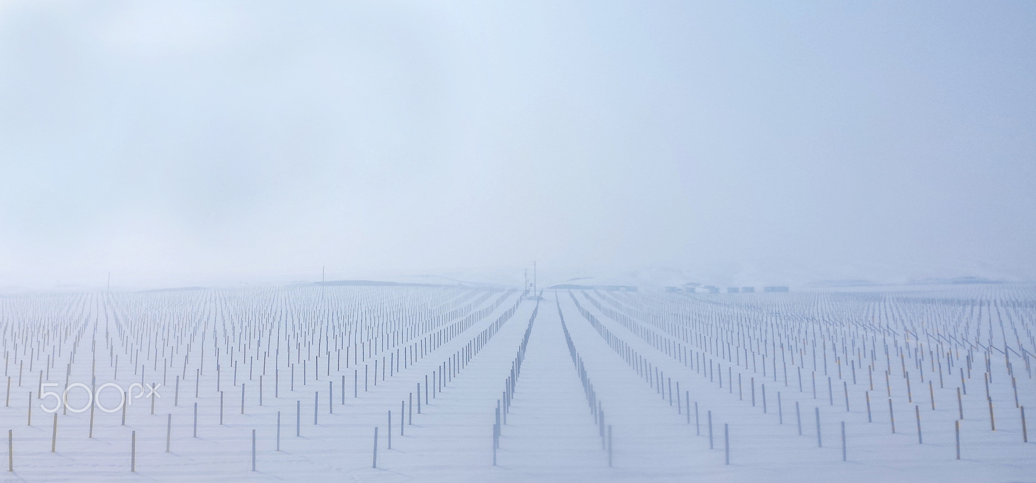 Xinjiang winter view