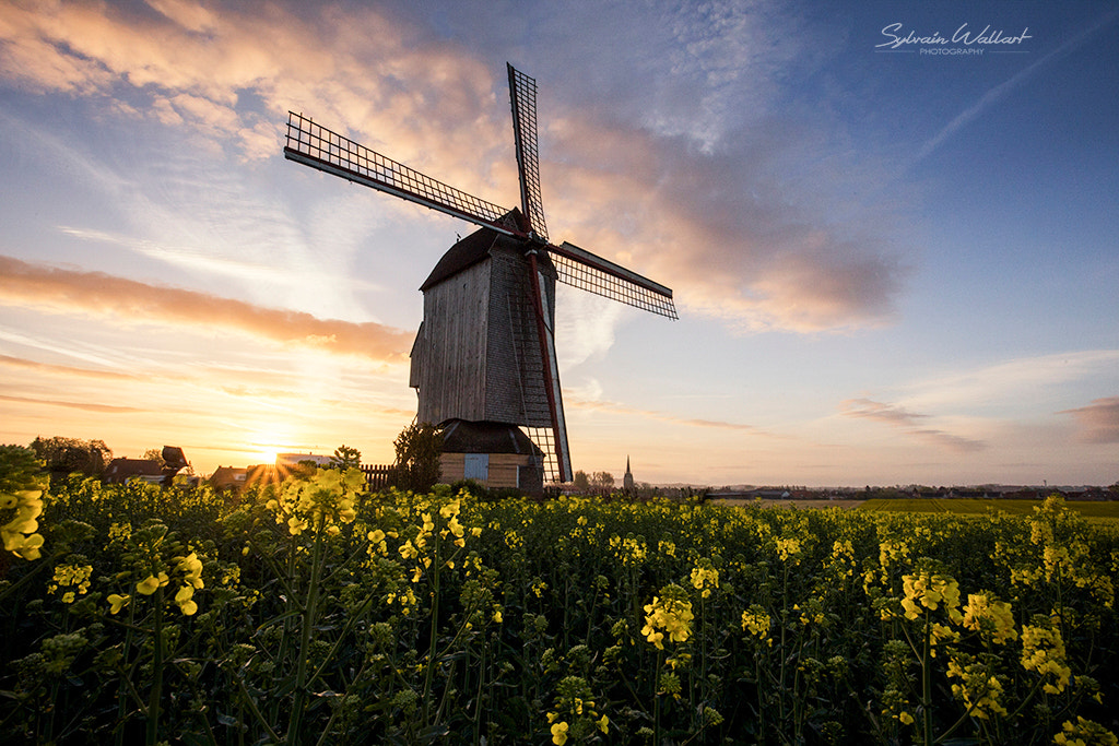 Windmill by Sylvain Wallart on 500px.com