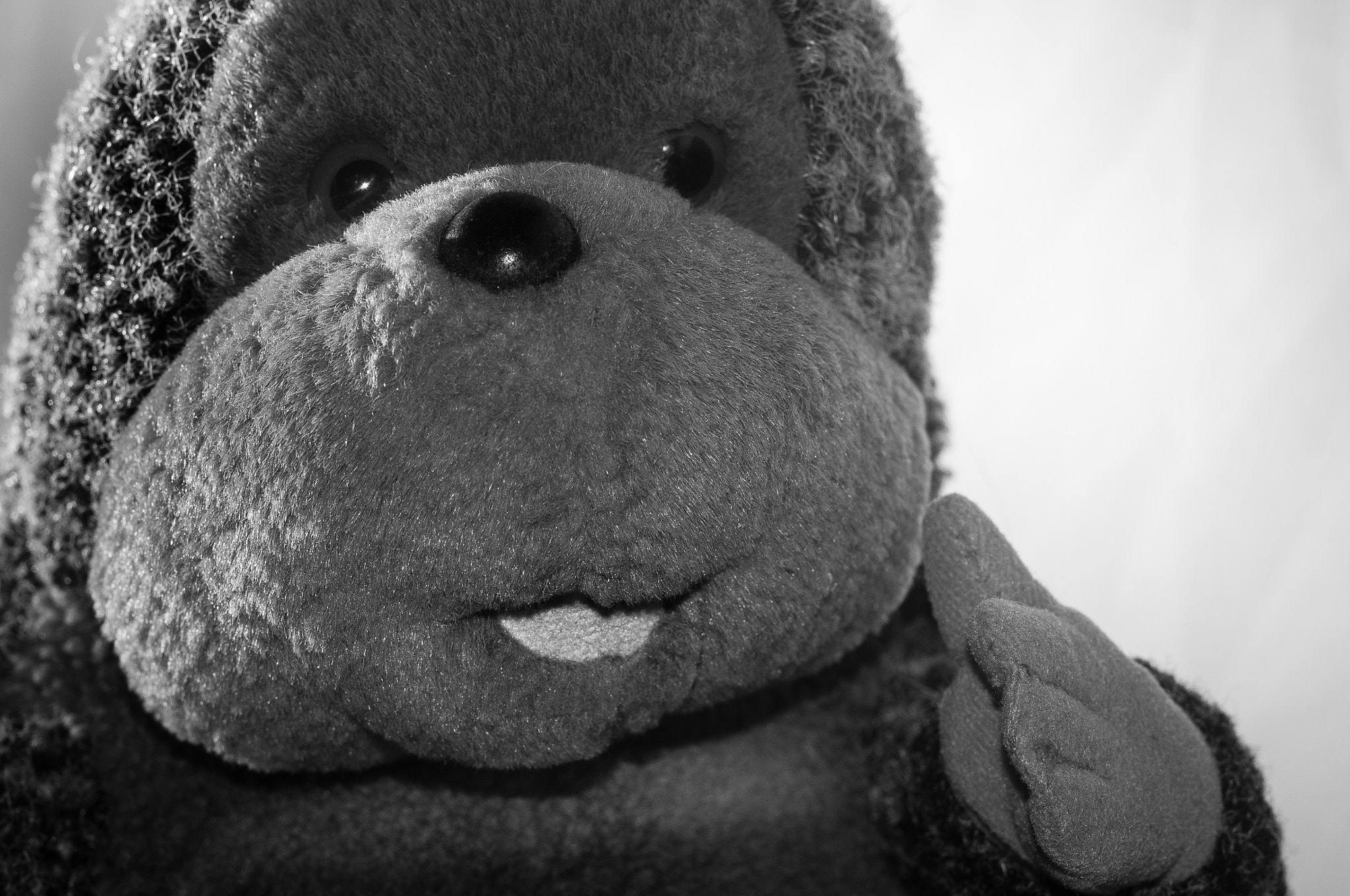 Peluche,peluche !