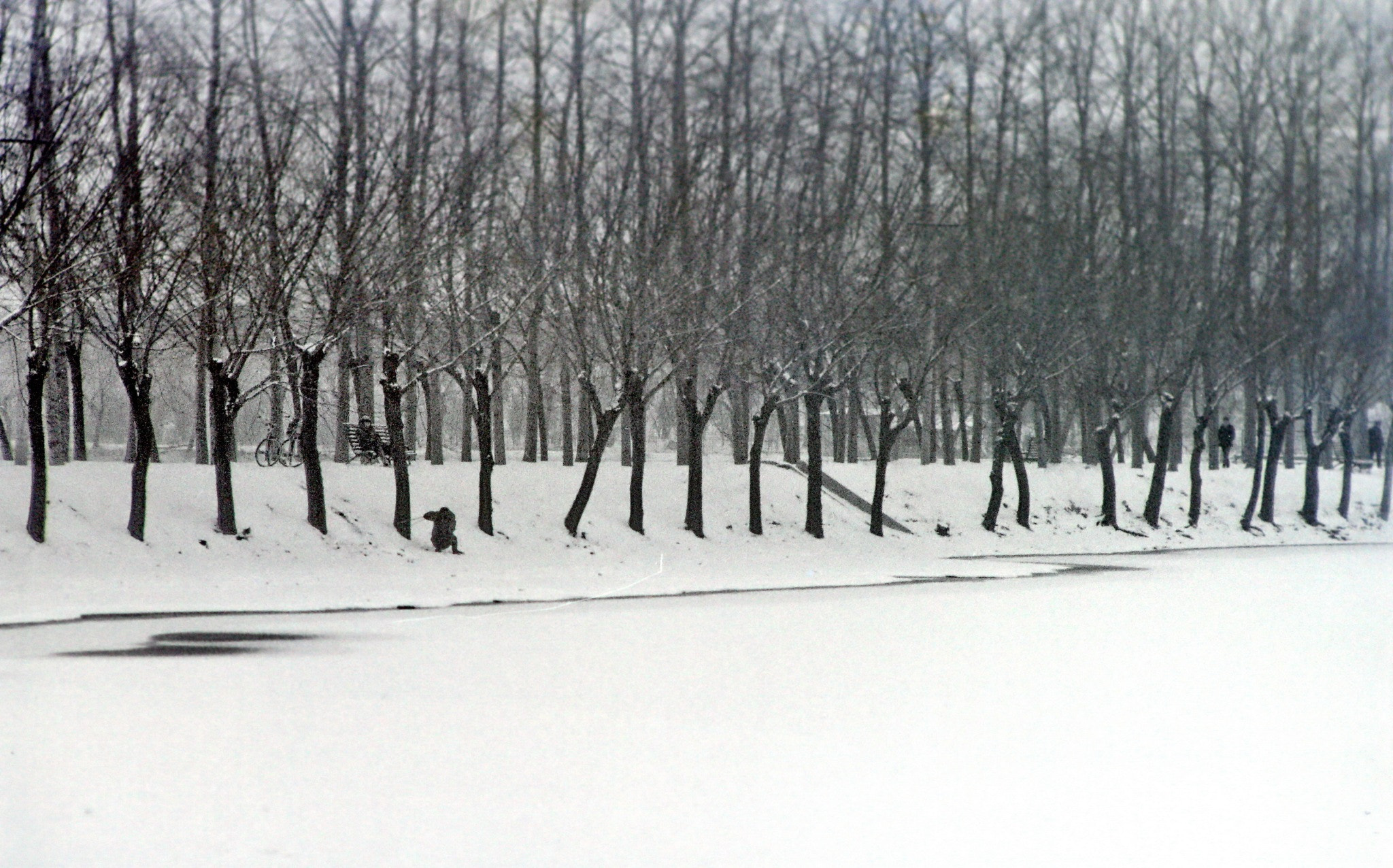 1987年11月北京海淀区玉渊潭公园冬雪 原片135负片_4