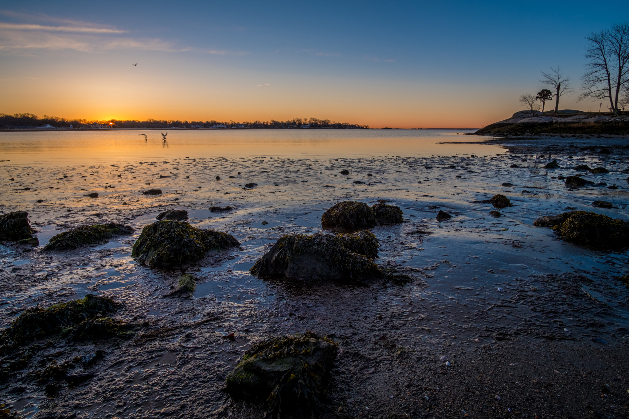 Sunrise Cove Island Park Stamford, CT