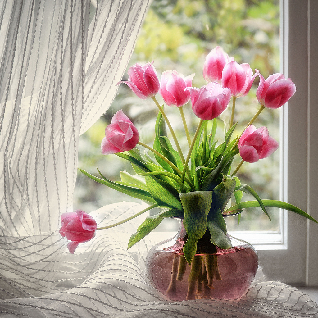 April ... Tulips have blossomed. by Natalia M. on 500px.com