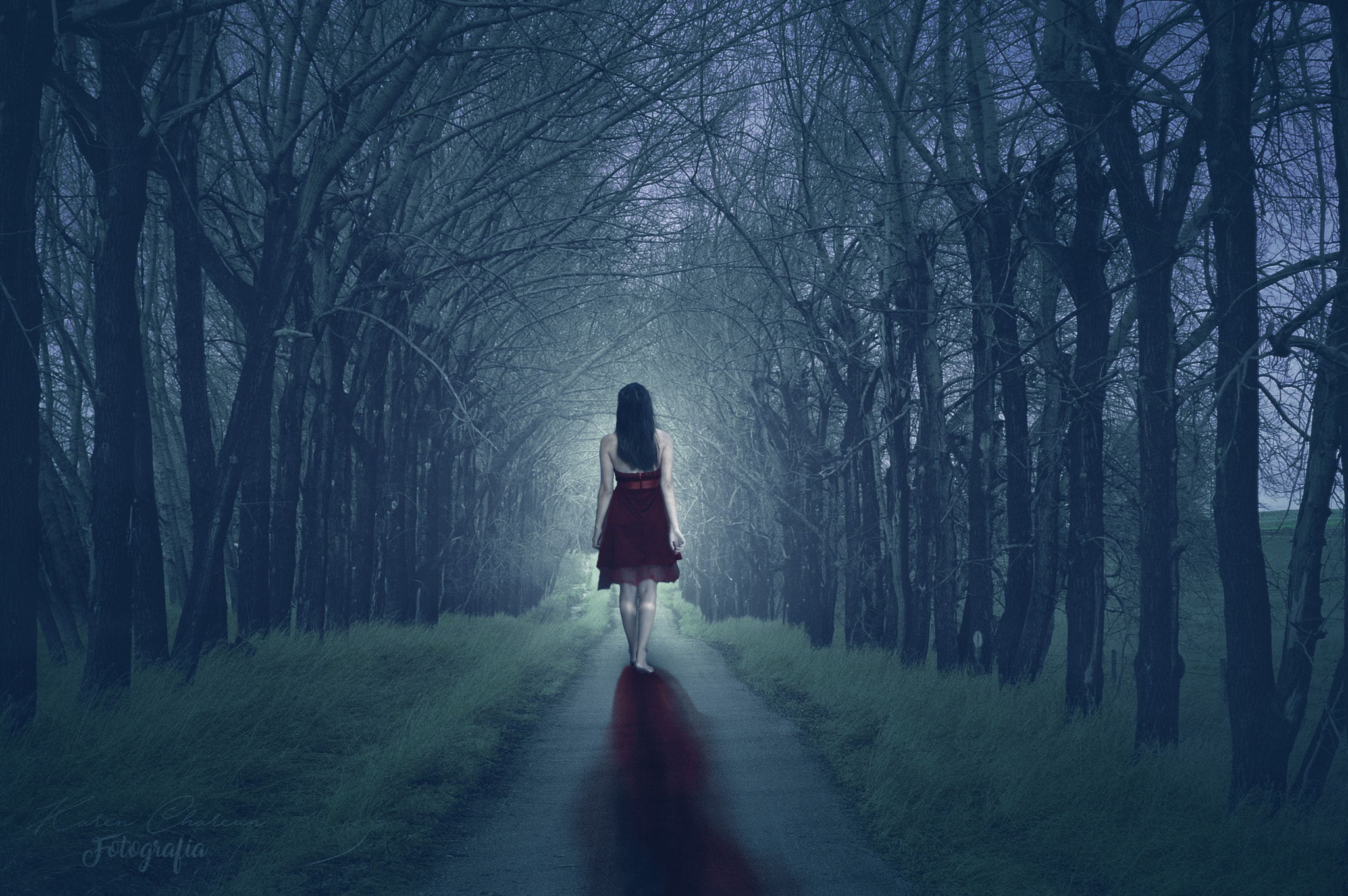 Alice in the land of nightmares - Open door