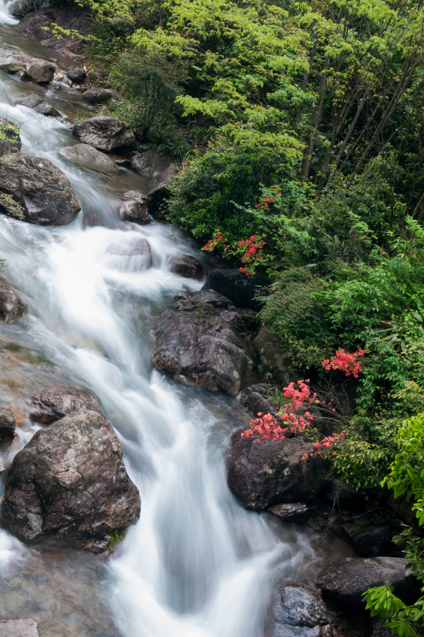 v2?sig=9b6b1577a2de17d2a26e819e4d9c608763c1235b196f2963972adfedea1ddb5a