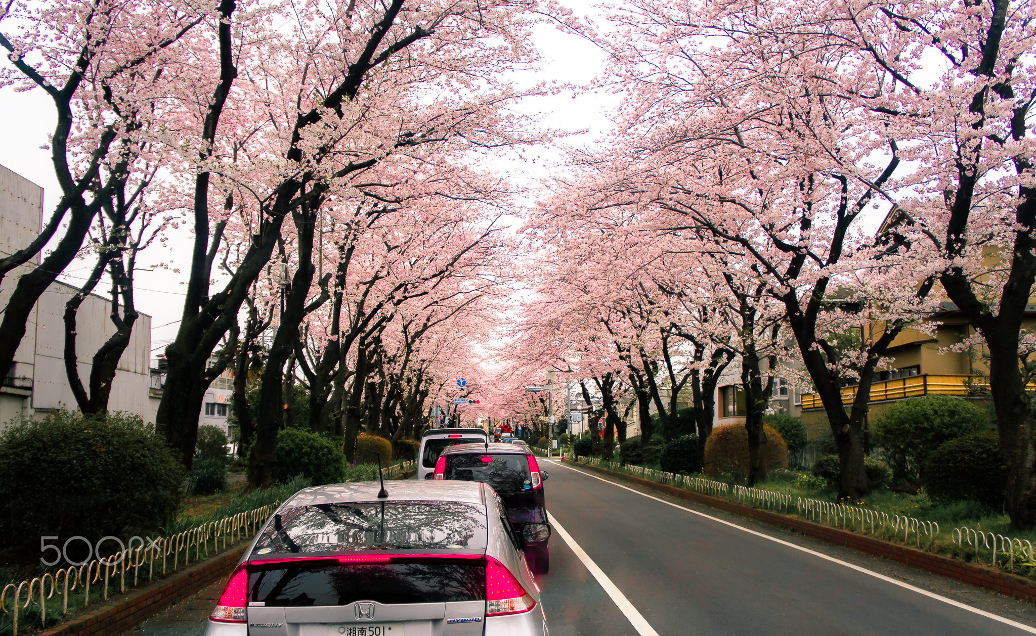 Waiting for a signal.