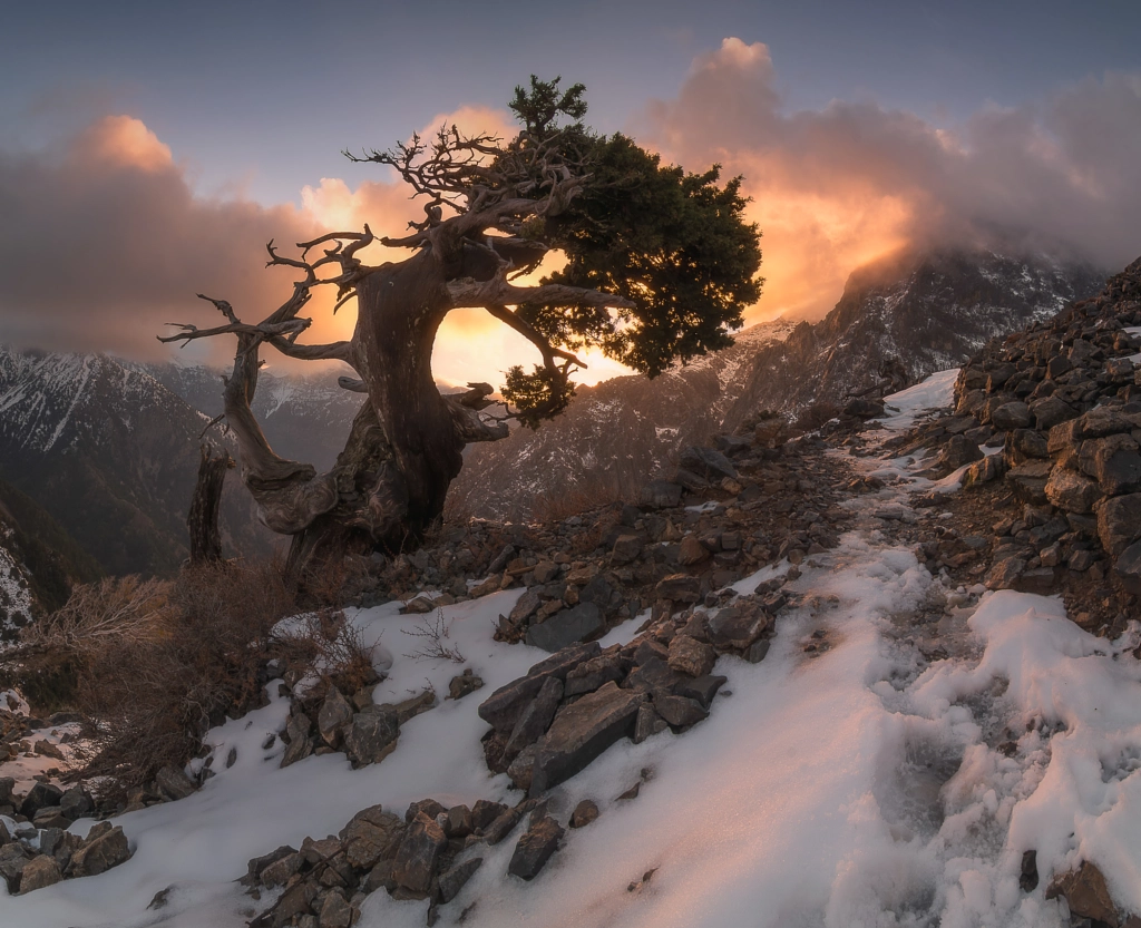 Boots & paws de Stratos Gazas en 500px.com