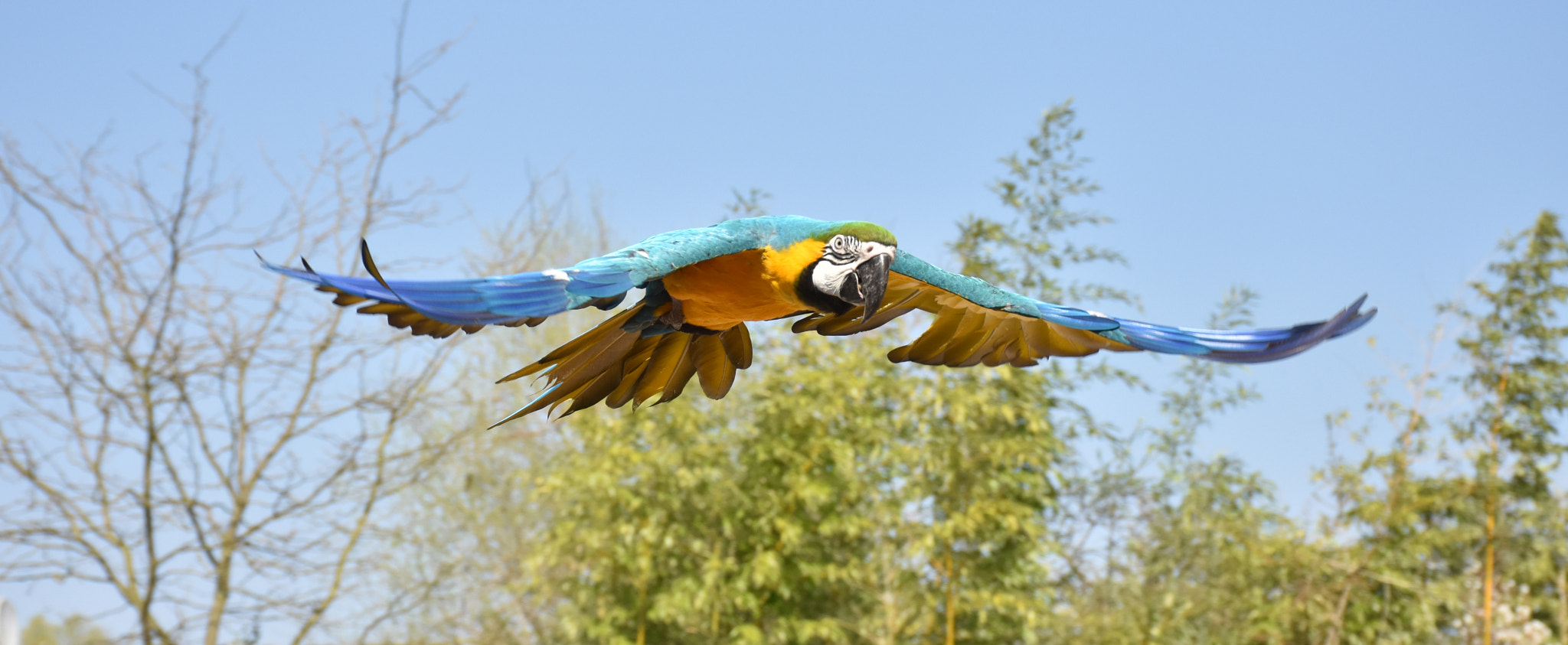 v2?sig=2a4a5bfc46c50f80e8b724a8ec949fcaf