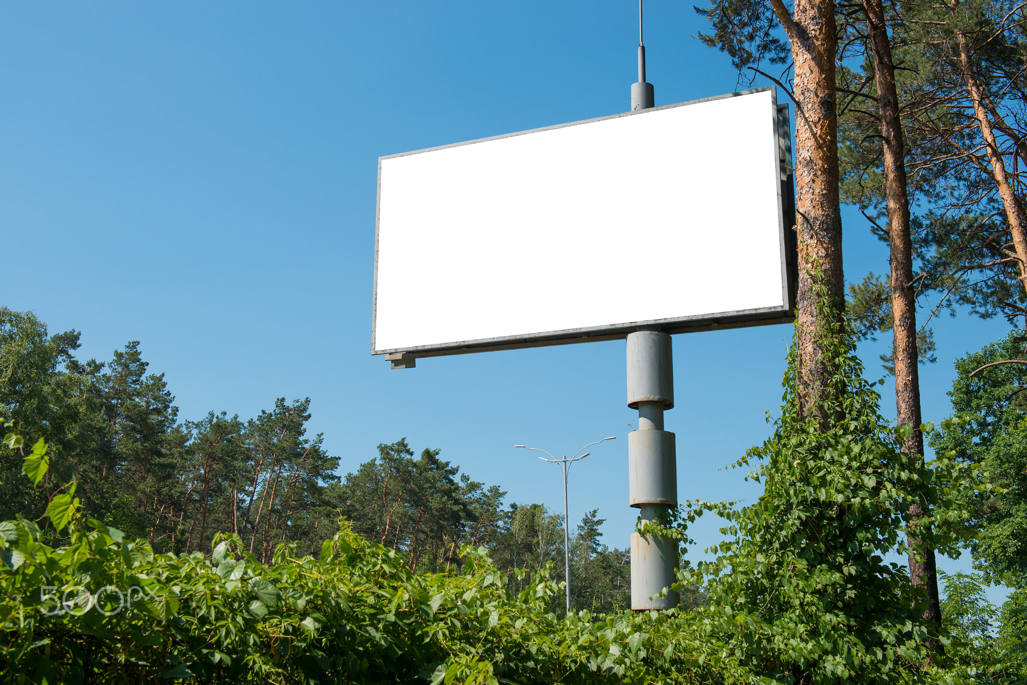 Blank billboard with empty space