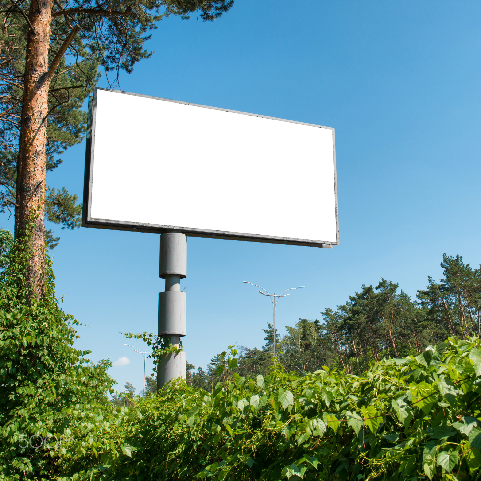 Blank billboard with empty space