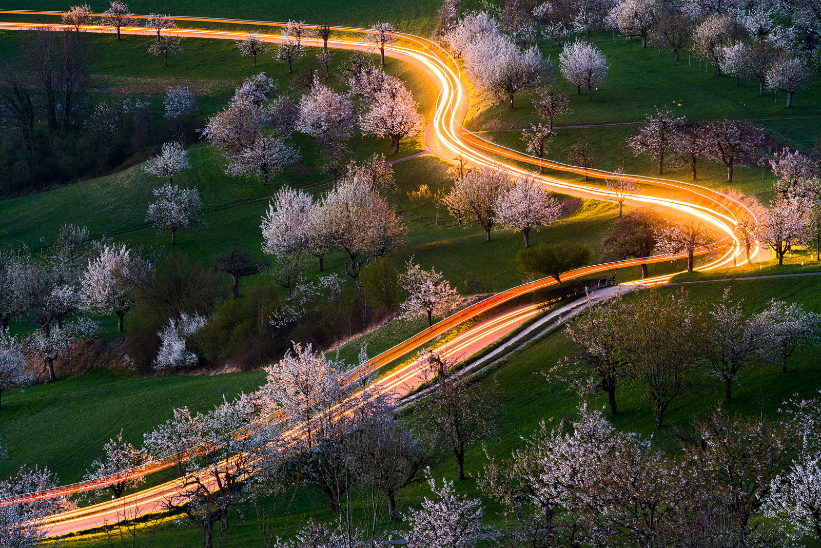 Cherry Road by Tobias Ryser Photo 207550495 / 500px