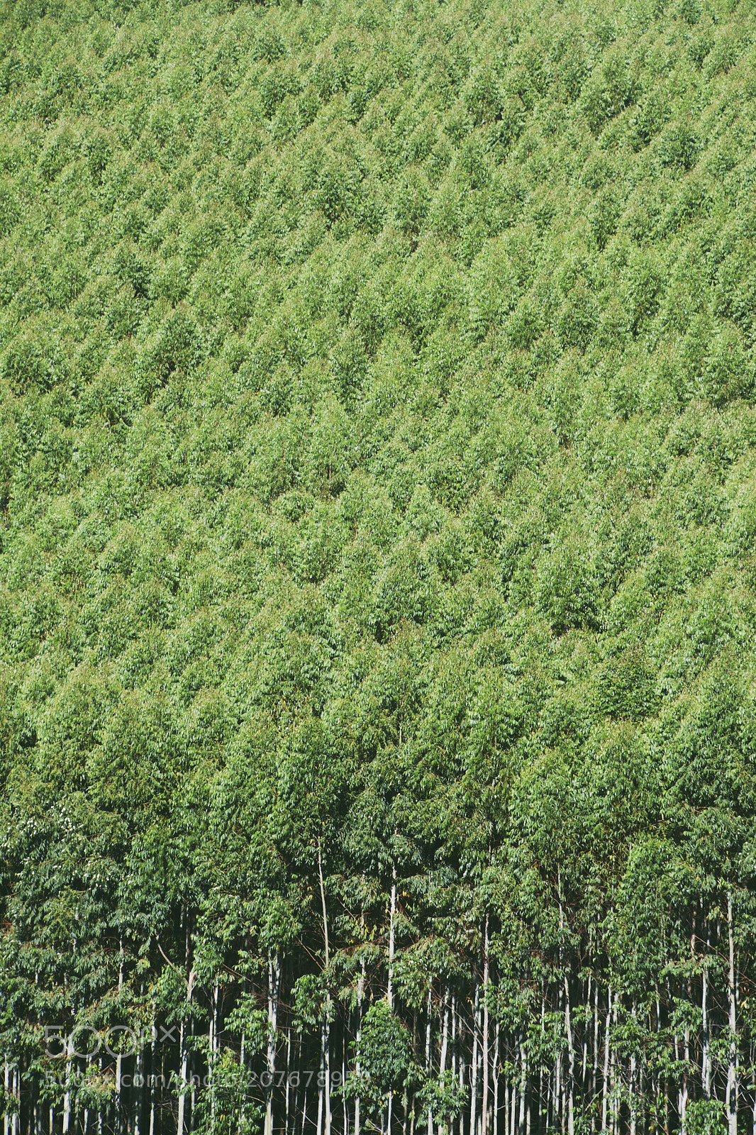 Nikon D3100 sample photo. Nature photography