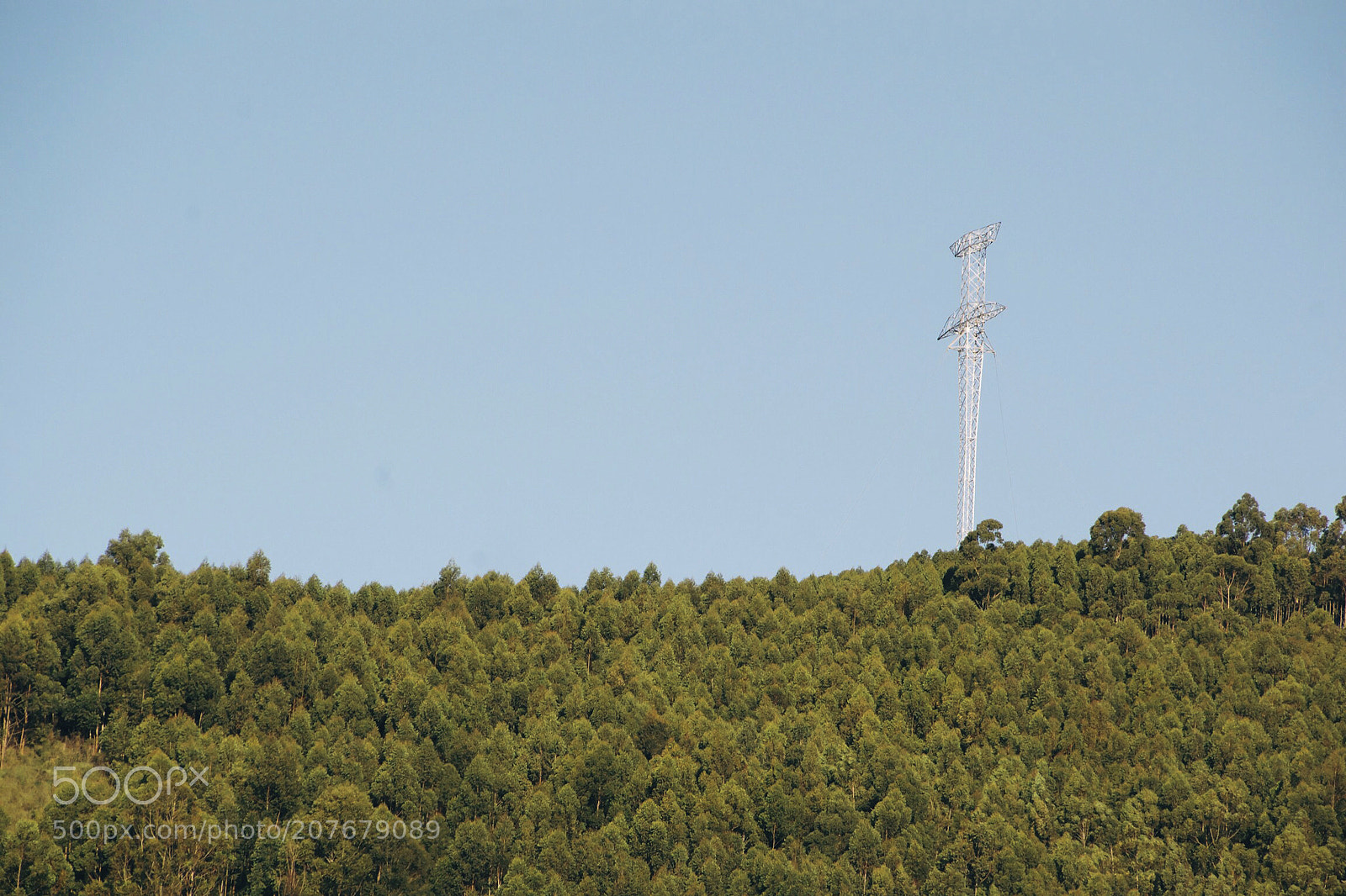 Nikon D3100 sample photo. Nature photography