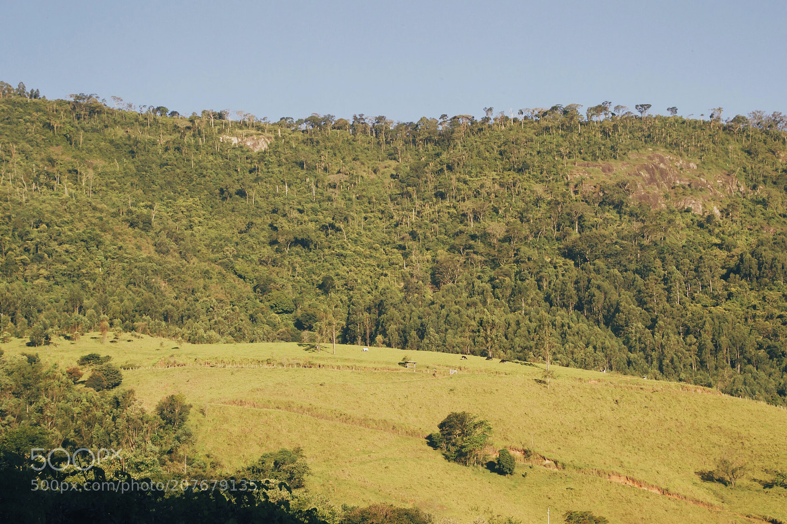 Nikon D3100 sample photo. Nature photography