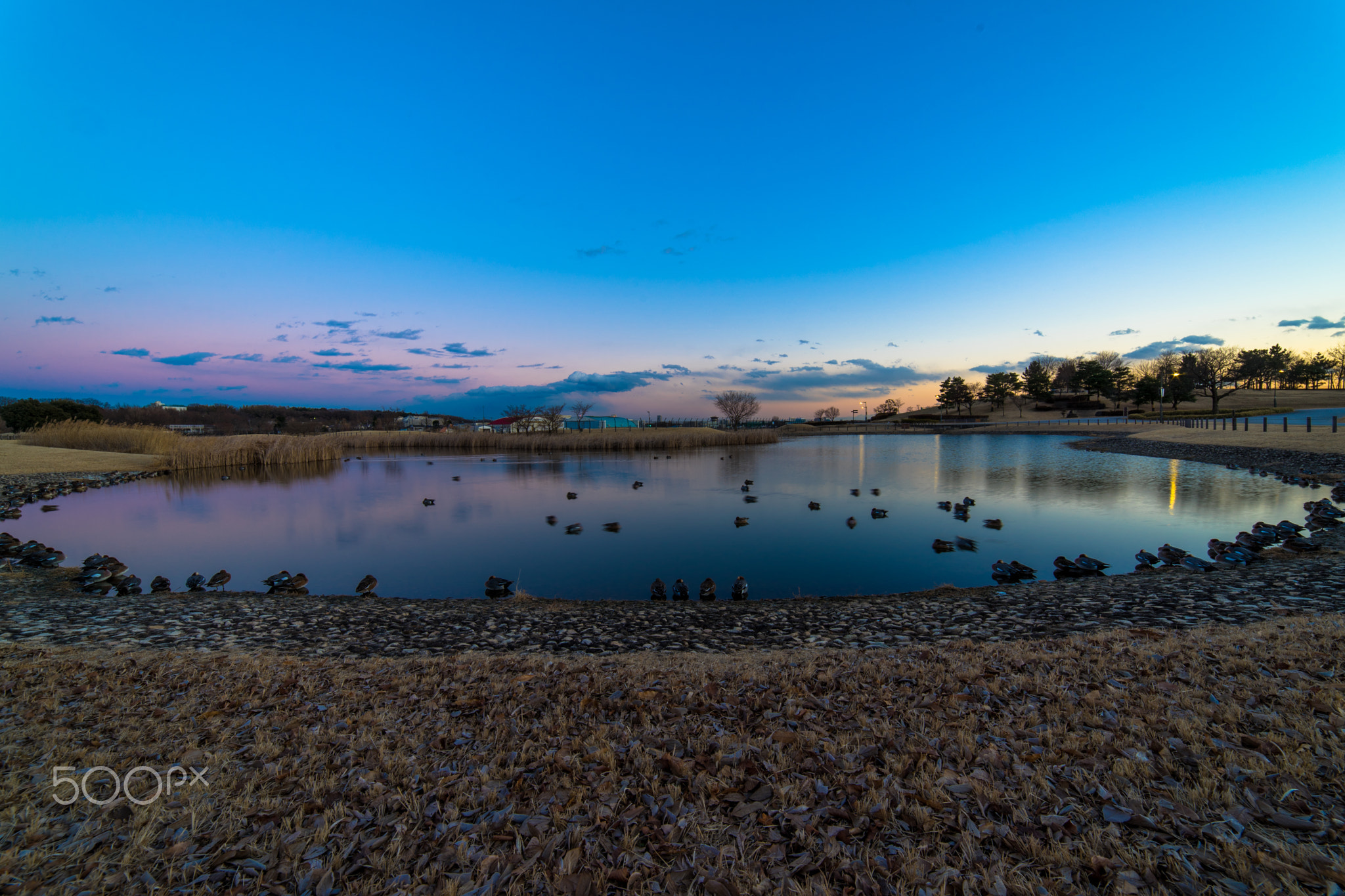 Chofu Airport Sunset