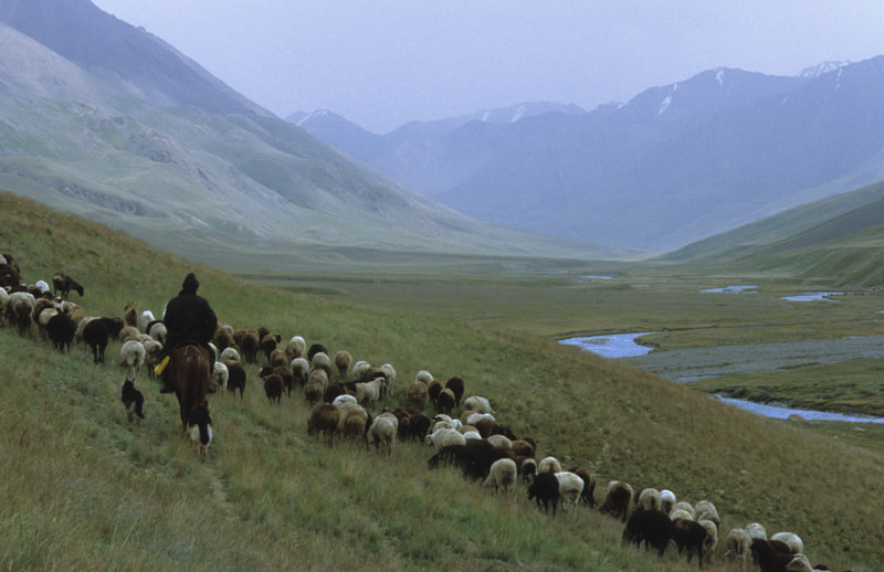 Kyrgyzstan herder in the mountains by Simon Damant on 500px.com