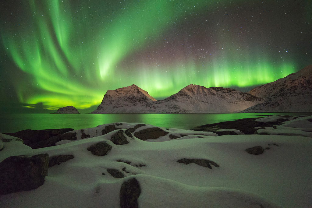 Northern Light