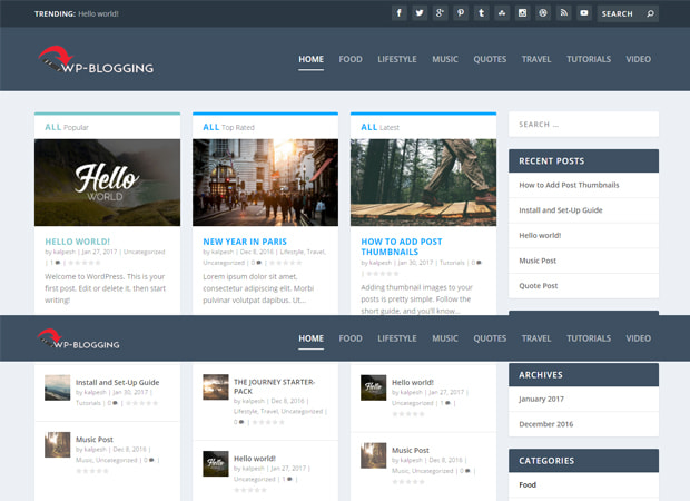 Flexible wordpress theme