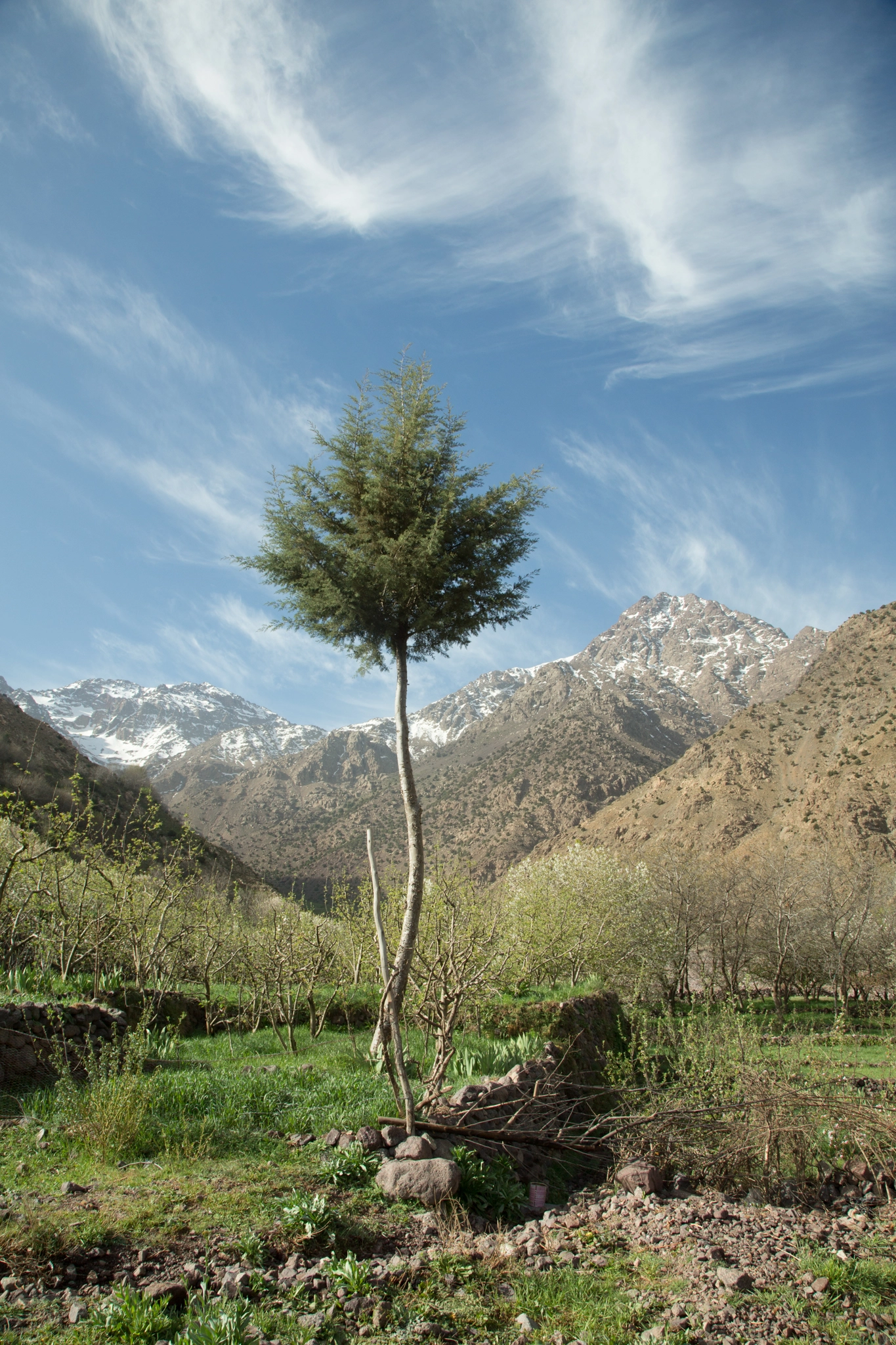 Towards Toubkal