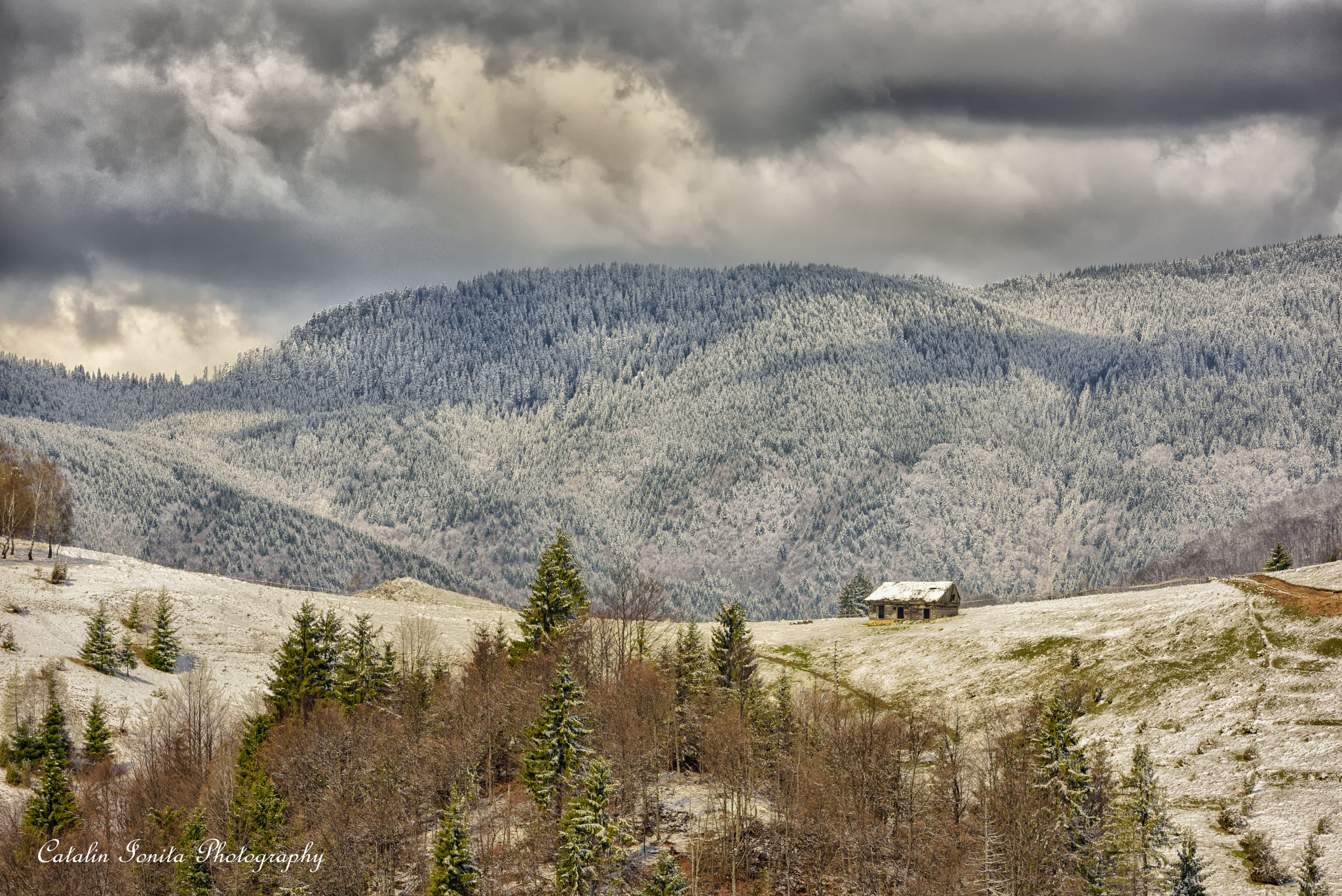 Somewhere in Wallachia