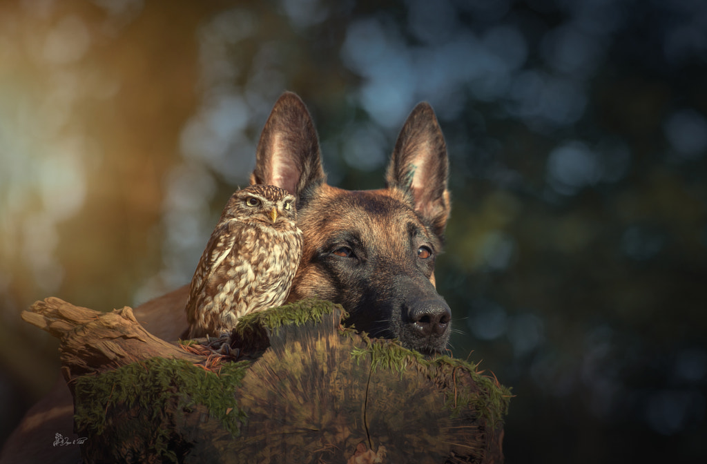 The world by Tanja Brandt on 500px.com