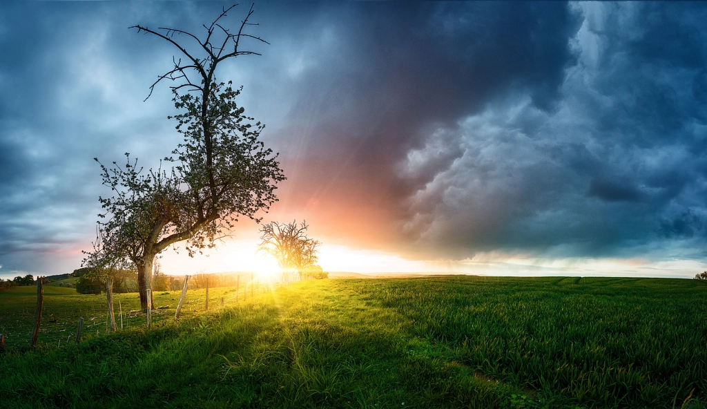 Armin Barth (Armin_Barth) Photos / 500px