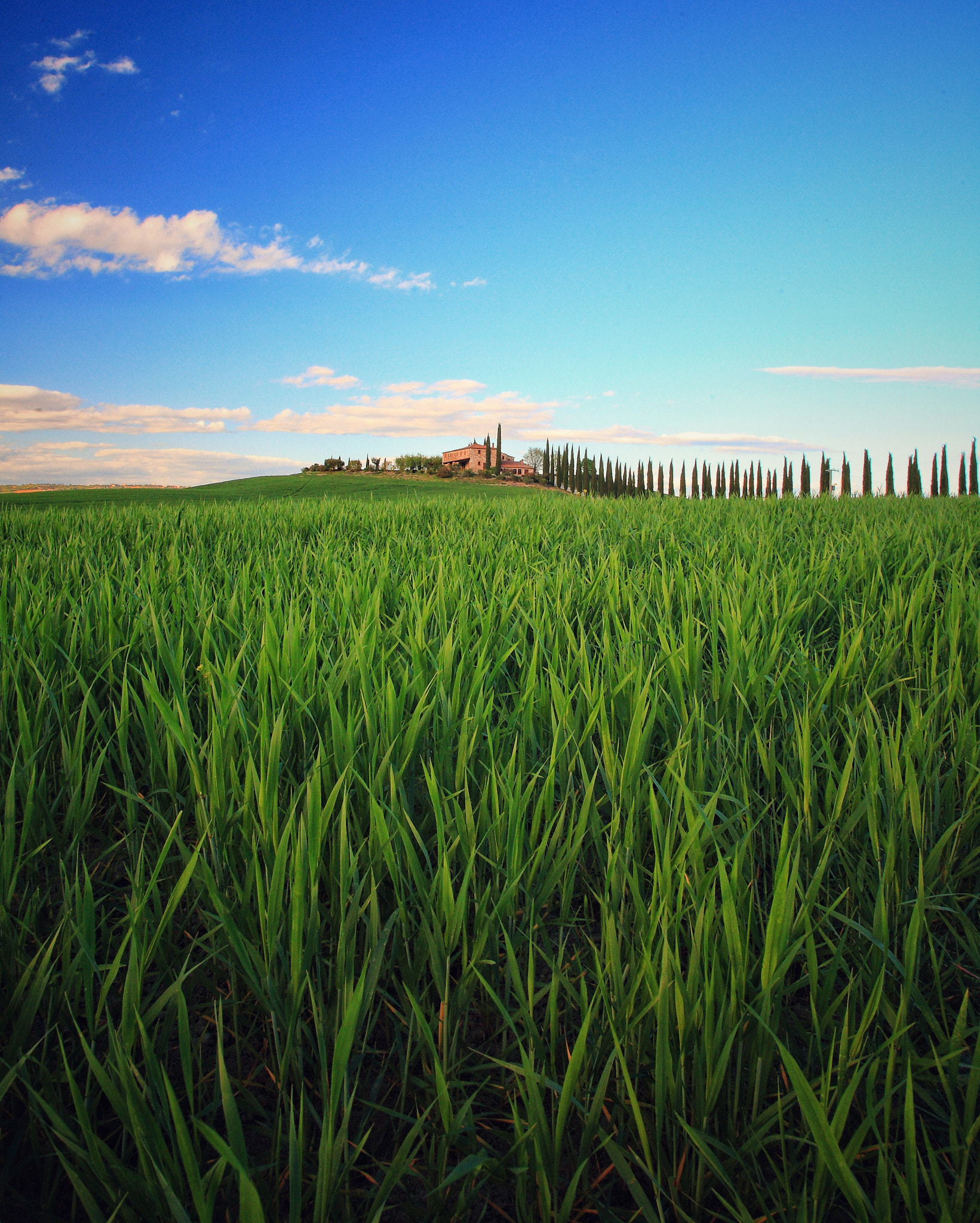 Tuscany