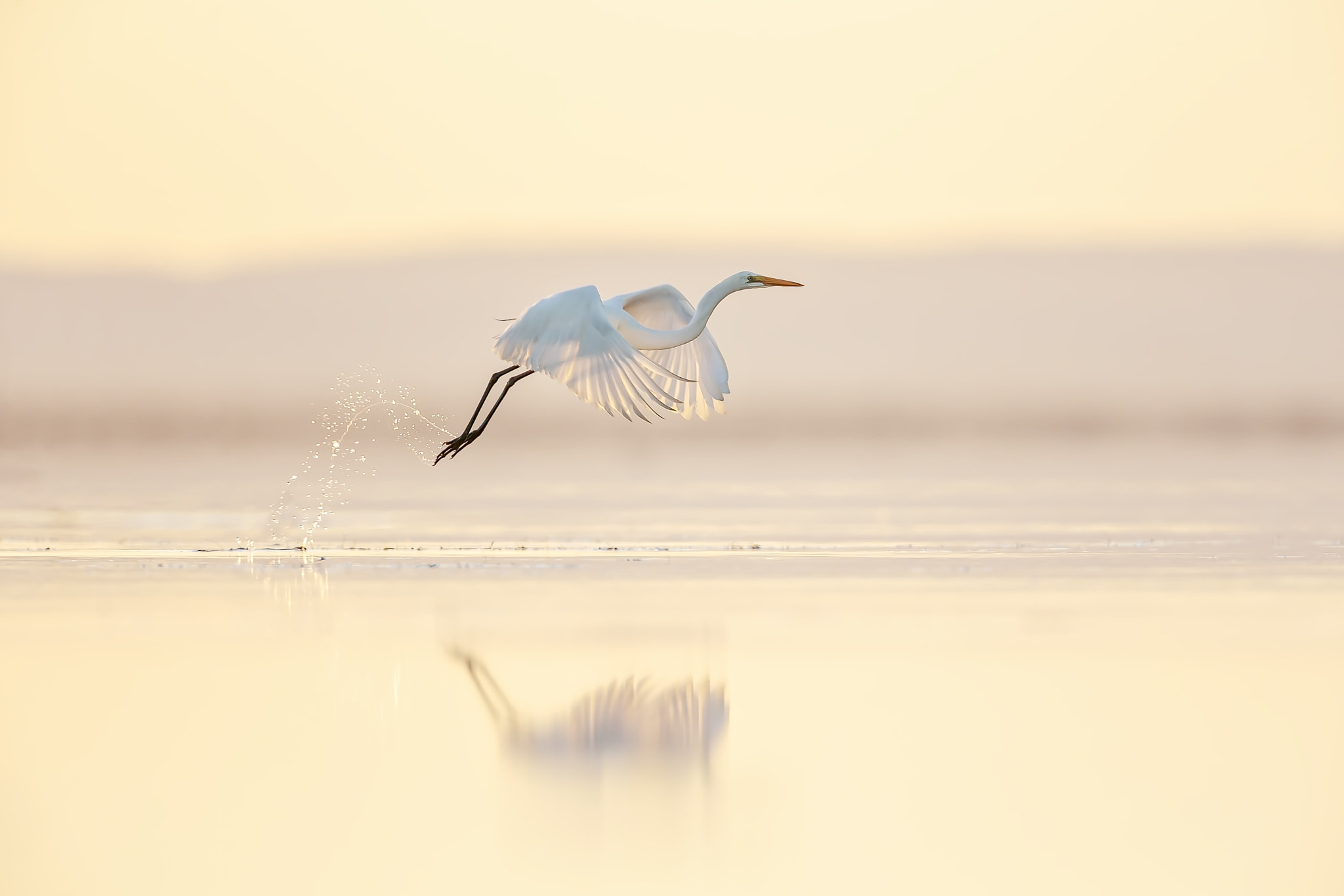 v2?sig=5e00f6bb67c6ed5b4b6dcc4ba2db8f111990152806ea3225816b1a30f02d9bb6