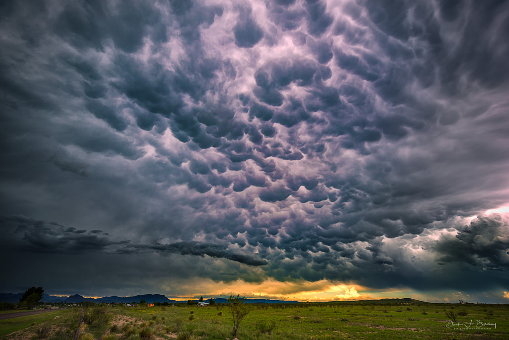 Mammatus Magic by Derek Burdeny on 500px.com