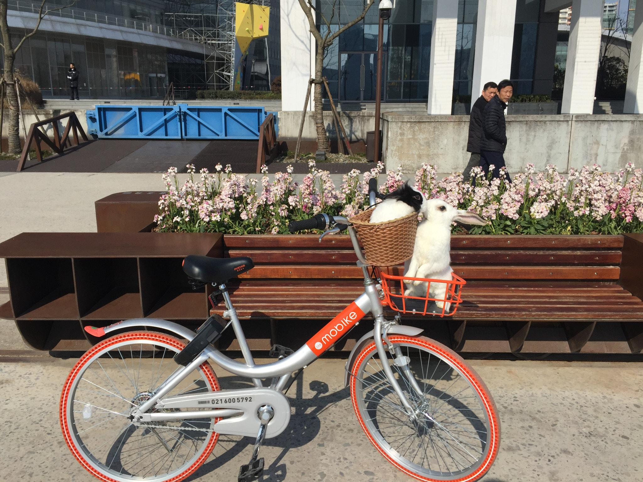 v2?sig=38eae29a4c3033ef727f626b33c8cef4490640c5248b68a13ac6c8b2e3682795