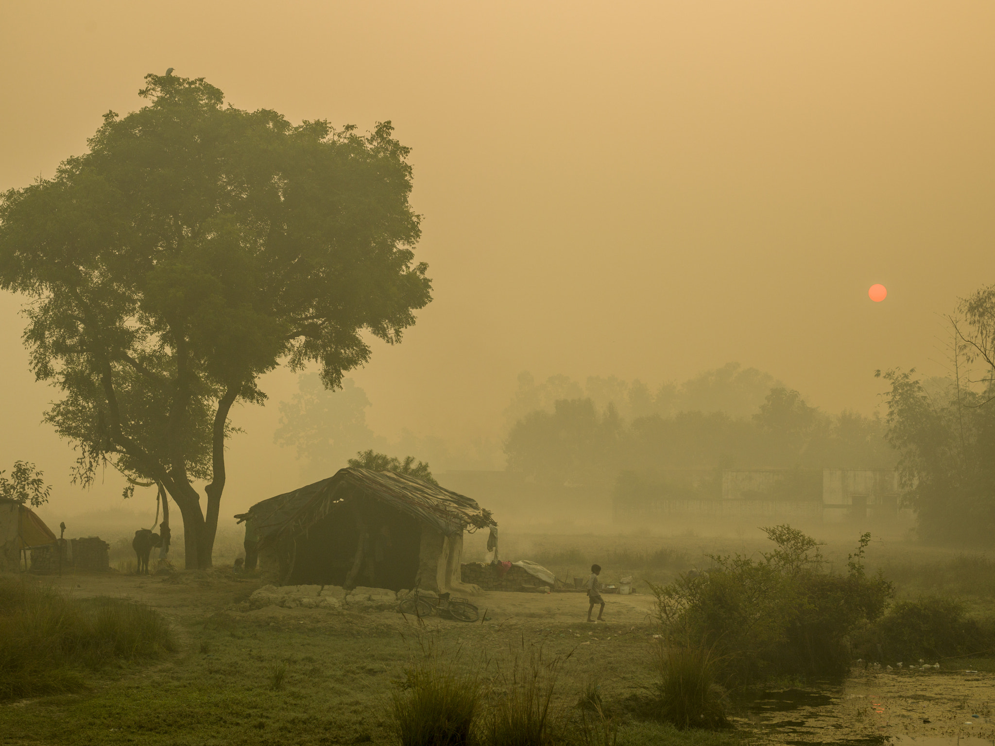 Hasselblad H4D sample photo. A misty winter morning in an indian viillage photography