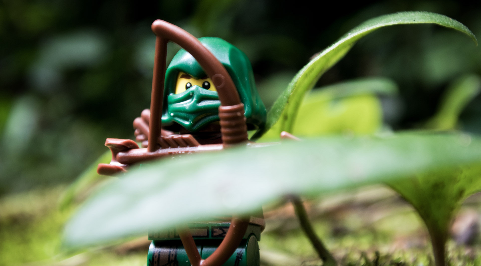 Nikon 1 J5 sample photo. Leaf whisperer i photography