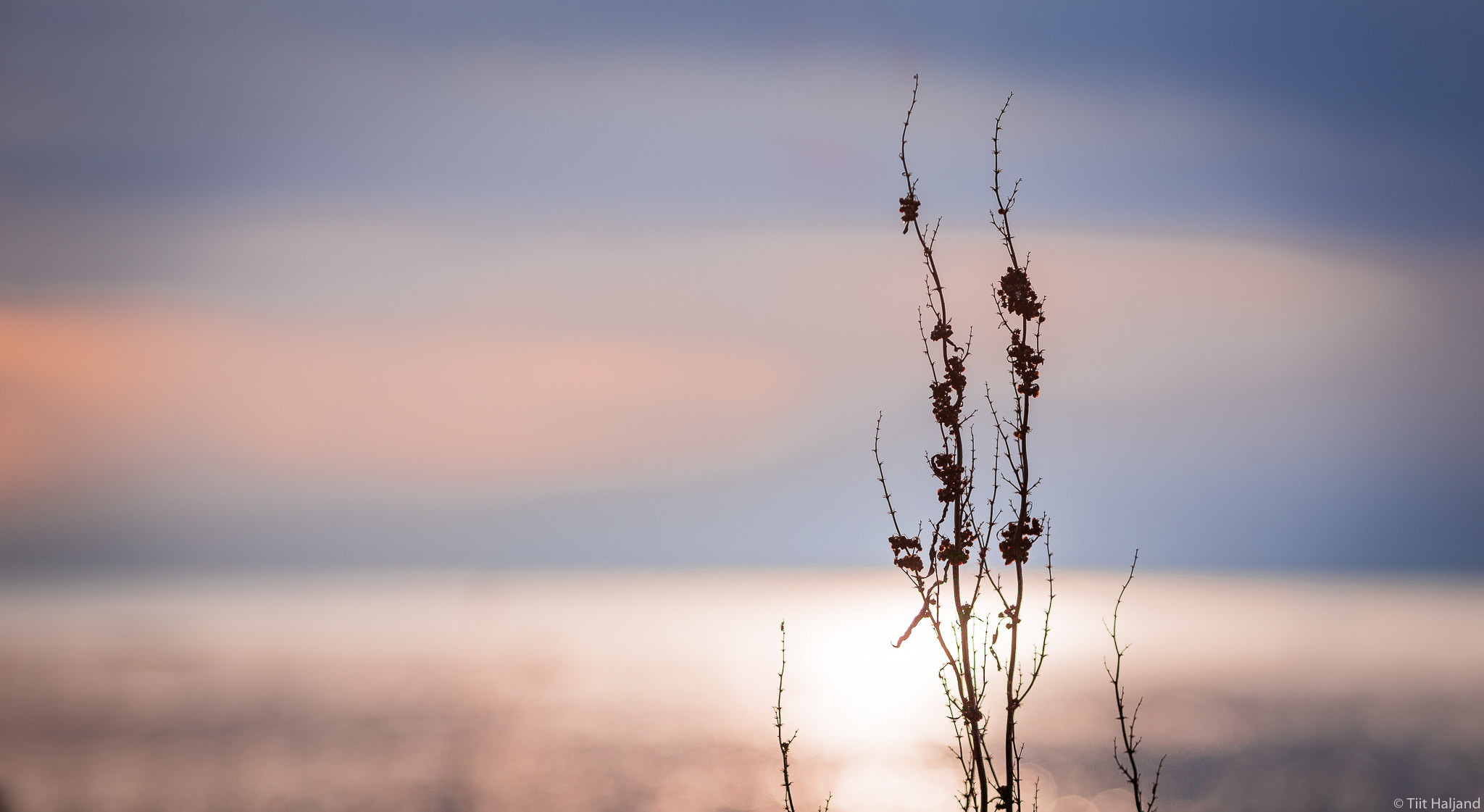 Canon EOS-1D X + Canon EF 70-200mm F2.8L USM sample photo. Sunrise photography