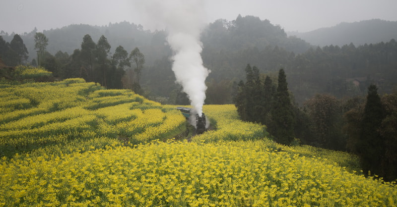 Nikon AF-S Nikkor 16-35mm F4G ED VR sample photo. 开往春天的火车 photography