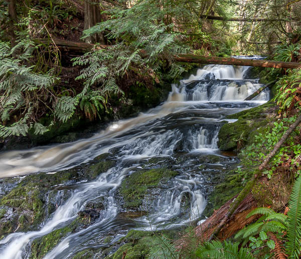 Canon EOS 40D sample photo. Port ludlow falls photography