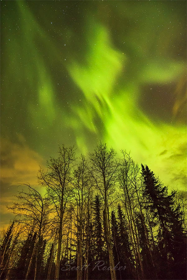 Nikon AF-S Nikkor 16-35mm F4G ED VR sample photo. Northerlights  photography